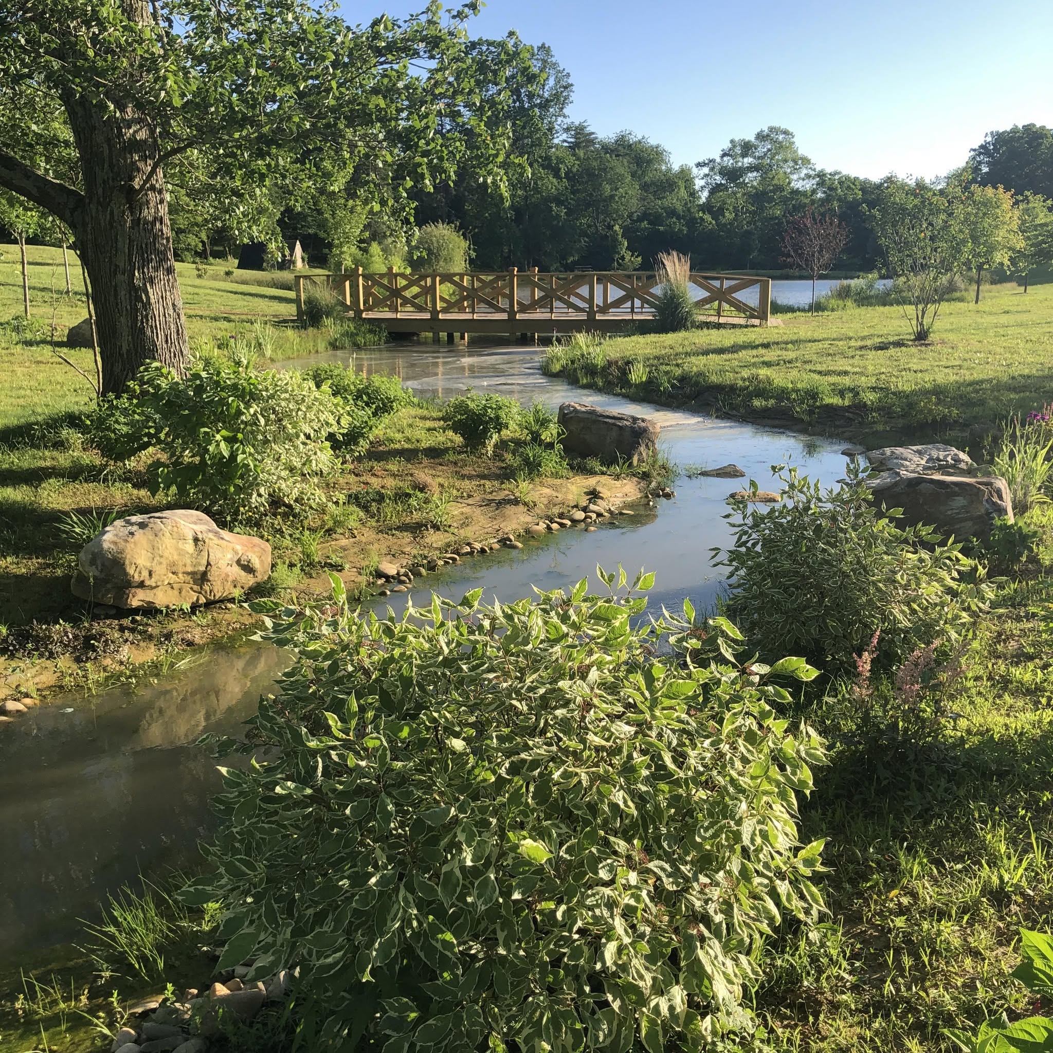 The creek winding past boulders to the wooden bridge and pond
