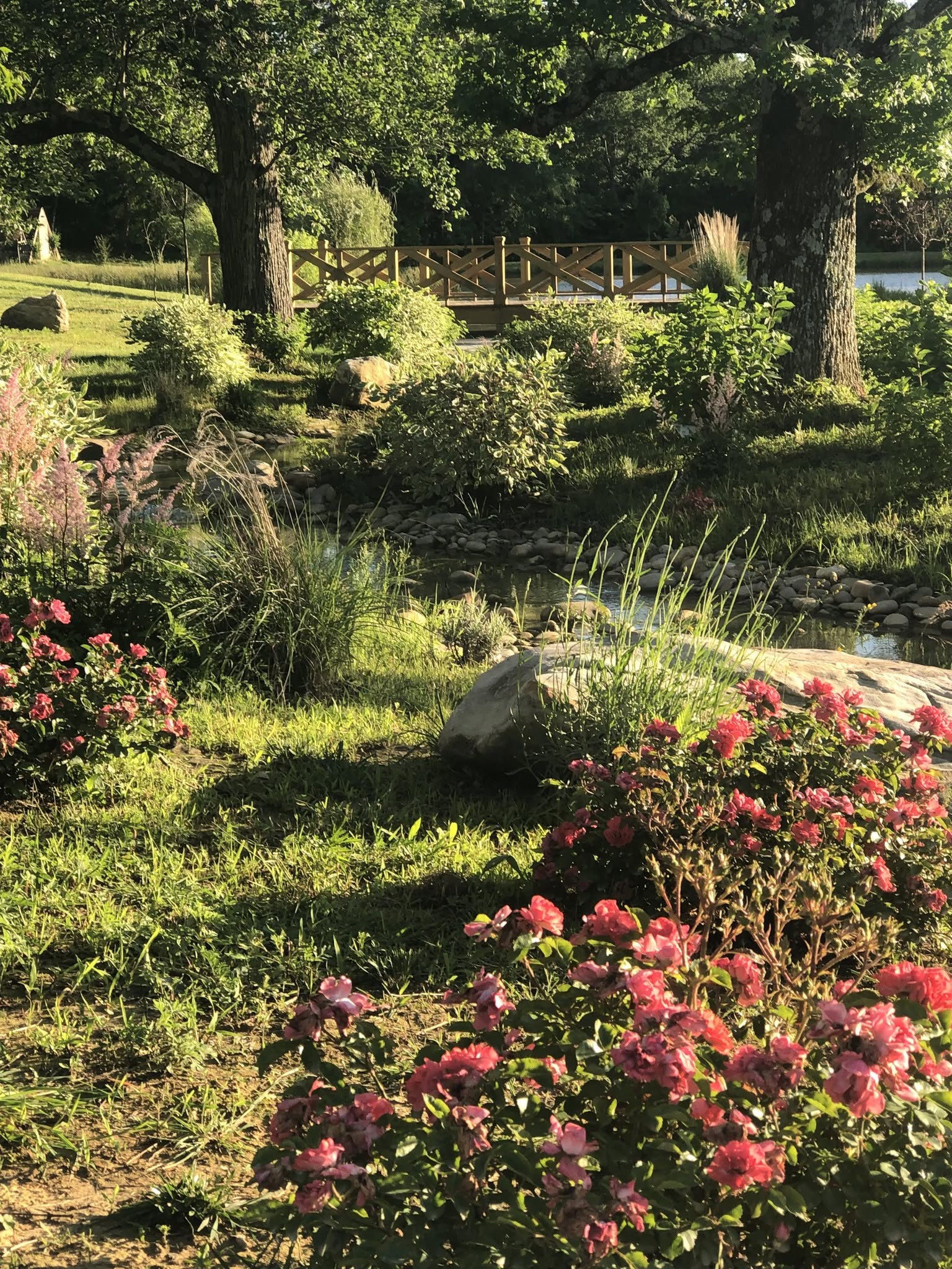 Golden hour over the rose gardens and creek at Caylor's Creek